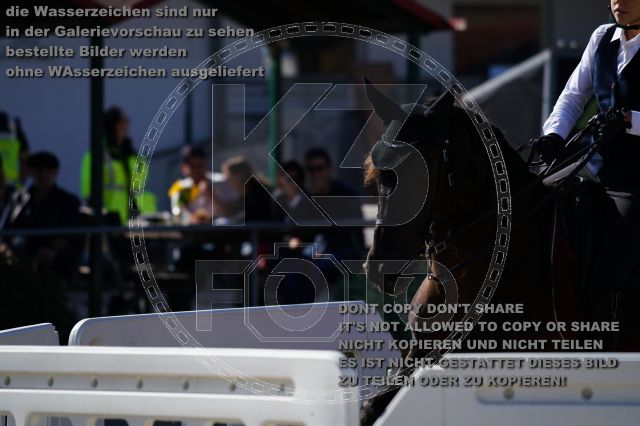 s_K3F03208.JPG